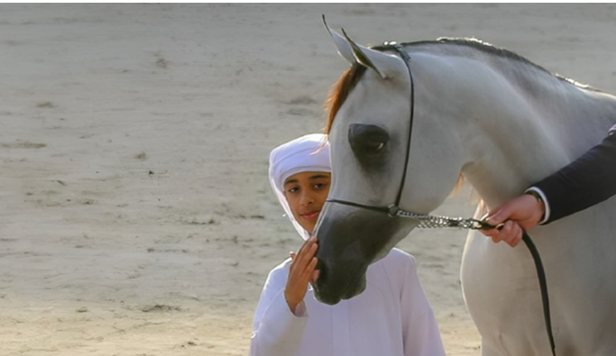 من المغرب ..  الترويج لكأس الإمارات العالمي لجمال الخيل