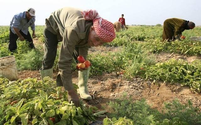 تعديلات مقترحة بشمول جميع العاملين في الزراعة بتَّأمينات الضَّمان