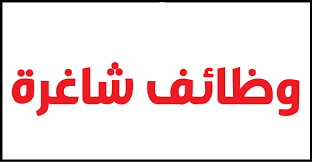 مطلوب مديرة معرض